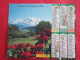 CALENDRIER ALMANACH 1994 MONTAGNE EN AUTOMNE PAYSAGE MONTAGNARD OBERTHUR - Groot Formaat: 1991-00