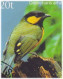 Tit Berrypecker, Blue Capped Ifrit, Large Scrubwren Bird Species, Birds, Bird, Animal, New Guinea FDC - Passeri