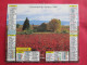 CALENDRIER ALMANACH 1994 CAMPAGNE VILLAGE + PONT  OBERTHUR - Grand Format : 1991-00