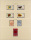 GUERNSEY COLLECTION. Mint Stamps From 1969 To 1988 In Lindner Album And In Presentation Packs. Also 56 FDCs In Lindner A - Andere & Zonder Classificatie