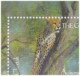 Animals In A Game Reserve, Cheetah, Black Rhinoceros, Giant Eland, Bontebok, Chimpanzee, Wild Animal, Mammals, Sheet FDC - Neushoorn