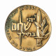 Israel Medal 59mm Peace Be Within Thy Walls, Psalms Lion Sword 136g 01526 - Autres & Non Classés