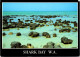 11-11-2023 (1 V 51) Australia (posted With Flower Stamp 1986 ) WA  (UNESC) - Shark Bay - Sonstige & Ohne Zuordnung