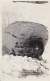 NORWAY JULY 1905 DRIVING THROUGH ICE TUNNEL - PHOTO POSTCARD RPPC NIELEN - Norvège