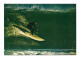 Z 1882/83 SURF ET PLANCHE A VOILE  LOT 2 CARTES - Ski Náutico