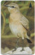 Bahrain - Batelco (GPT) - Bahrain Birds - Oenanthe Isabellina - 46BAHB - 1998, Used - Bahreïn