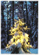 Christmas Tree Snow Winter Forest Happy New Year! 1987 Unused Vintage Postcard. Publisher Eesti Raamat, Estonia - Estonie