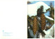 Happy New Year! Christmas Tree Fir Cones Snow 1987 Unused Vintage Postcard. Publ: Eesti Raamat, Tallinn Soviet Estonia - Estonie