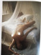 Delcampe - David HAMILTON 2007️ Les Contes Erotiques  Romantiques Et Nues 2 Livres Neufs En étui - Ed. Speciali