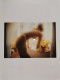 Delcampe - David HAMILTON 2007️ Les Contes Erotiques  Romantiques Et Nues 2 Livres Neufs En étui - Ed. Speciali