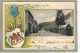 CPA - SAINTE-CROIX-aux-MINES (68) - Carte Gaufrée Avec Blason Héraldique - Grand Rue Et Bois Du Prince En 1902 - Sainte-Croix-aux-Mines