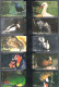 2003 Turkey Birds Complete Set - Sonstige & Ohne Zuordnung