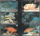 2003 Turkey Marine Life Complete Set - Vissen