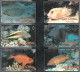 2003 Turkey Marine Life Complete Set - Peces