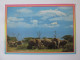 Kenya:Elephant Au Kilimanjaro C.post.1995 Bel Affranchis./Elephant In Front Of Kilimanjaro Post.1995 Nice Franking - Kenya