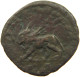 ROME EMPIRE AS  Caracalla (198-217) LION #t134 0369 - The Severans (193 AD Tot 235 AD)