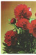 Congratulations! Peonies 1989 Unused Vintage Postcard. Publ: Soviet Estonian Communist Party Publishing House Tallinn - Estonie