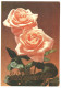 Happy Birthday! Roses 1988 Unused Vintage Postcard. Publ: Soviet Estonian Communist Party Publishing House Tallinn - Estonie