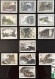 CHINA COLLECTION LOT OF MOUNTAINS STAMPS ALL UM VERY FINE - Collections, Lots & Series