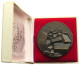 GREENLAND MEDAL 1976  #bs10 0041 - Groenlandia