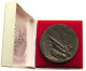 GREENLAND MEDAL 1976  #bs10 0041 - Grönland