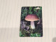 BELARUS-(BY-BLT-098)-Mushroom Leccinum-(88)(SILVER CHIP)(064230)(tirage-65.000)used Card+1card Prepiad Free - Belarus