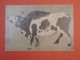 DF7 CHINA BELLE CARTE ENTIER . NON VOYAGEE++VACHE + + - Cartoline Postali