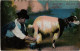 CPA AK Milk Seller MALTA (1260420) - Malte