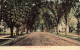 ÉTATS-UNIS - Hartford - Washington Street - Carte Postale Ancienne - Hartford