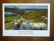 CPSM Timbre Stamp - RUSH HOUR IN THE HIGHLANDS SCOTLAND ECOSSE LOCH INCHARD BADCALL Kinlochbervie DOUGLAS CORRANCE - Sutherland