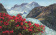 SUISSE - Bern - Rostblättrige Alpenrose - Rhododendron Ferrugineum - Colorisé - Carte Postale Ancienne - Bern