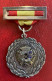 España Medalla Franco Primavera Siluetas 3erP. Tarrasa 1955 - Autres & Non Classés