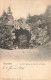 BELGIQUE - Bruxelles - Le Pont Rustique Au Bois De La Cambre - Carte Postale Ancienne - Places, Squares