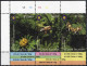 ** 2014, Gliederfüßer, Komplette Serie 3 Werte Als Dreierstreifen, Postfrisch, Mi. 1990-1992 - Cook Islands