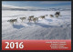 2016 - GROENLANDIA / GREENLAND - ANNATA COMPLETA / YEAR PACK . MNH - Komplette Jahrgänge