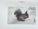 BELARUS-(BY-BLT-133b)-Squirrel-(114)(GOLD CHIP)(022360)(tirage-319.000)used Card+1card Prepiad Free - Bielorussia