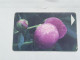 BELARUS-(BY-BLT-141b)-Peon Flowers-(121)(GOLD CHIP)(046046)(tirage-28.700)used Card+1card Prepiad Free - Belarus