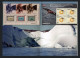 2020 - GROENLANDIA / GREENLAND - ANNATA COMPLETA / YEAR PACK . MNH - Annate Complete