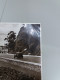 #CPA.545 - Nerr Promenade Torquay Road - Royaume Uni Angleterre Devon - Torquay