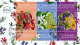 ISRAEL 2019 COMPLETE YEAR FDC SET ALL STAMPS ISSUED + S/SHEETS MNH SEE 9 SCANS - Briefe U. Dokumente