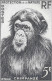 Aof France Faune Singe Chimpanzé Essais Non Dentelés Monkeys Apes Imperfs Proofs Essay Affen Geschnitten ** 1955 + 180 € - Chimpanzees