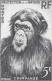 Aof France Faune Singe Chimpanzé Essais Non Dentelés Monkeys Apes Imperfs Proofs Essay Affen Geschnitten ** 1955 + 180 € - Schimpansen