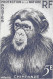 Delcampe - Aof France Faune Singe Chimpanzé Essais Non Dentelés Monkeys Apes Imperfs Proofs Essay Affen Geschnitten ** 1955 + 180 € - Chimpancés
