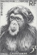 Aof France Faune Singe Chimpanzé Essais Non Dentelés Monkeys Apes Imperfs Proofs Essay Affen Geschnitten ** 1955 + 180 € - Schimpansen