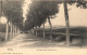 BELGIQUE - Arlon - La Route Vers Le Camp De Tir - Carte Postale Ancienne - Aarlen