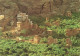 YÉMEN - Dans L'oasis De Wadi Dar - Colorisé - Carte Postale - Jemen