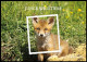 Autriche** - Jeunes Animaux Sauvages / Jonge Wilde Dieren / Junge Wildtiere / Young Wild Animals - Lapins