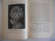 Delcampe - DE DAHLIA Afdeeling PLANT BLOEM VRUCHT Ol J.F.C DIX  Weten En Kunnen - Geschiedenis Tuinrassen Cultuur Behandeling Flora - Sachbücher