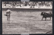 Delcampe - Cours De Taureaux - ( 6 Cpa ) - Stierkampf