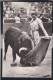 Delcampe - Cours De Taureaux - ( 6 Cpa ) - Stierkampf